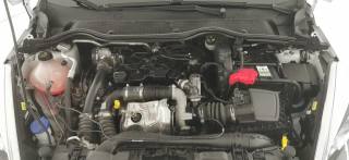 FORD Fiesta usata 65