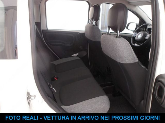 FIAT Panda usata, con Cronologia tagliandi