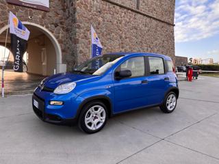 FIAT Panda usata 44