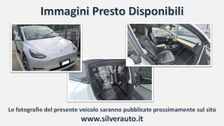 TESLA Model Y Long Raange AWD Dual Motor