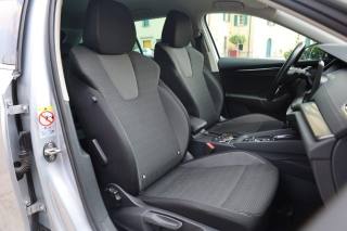 SKODA Octavia usata 142
