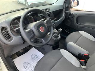 FIAT Panda usata 18