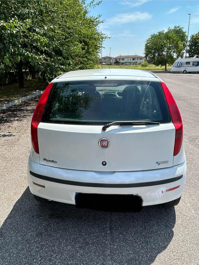 FIAT Punto usata, con Airbag