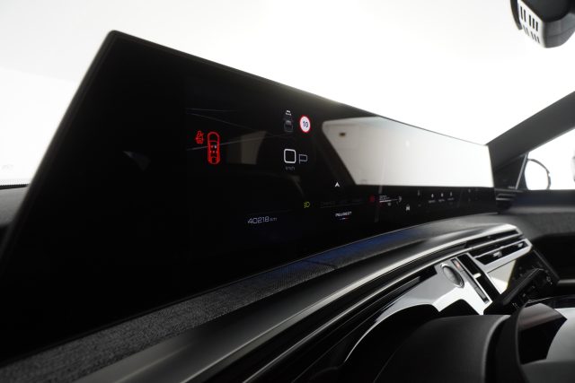 PEUGEOT 3008 usata 7