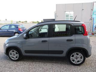 FIAT Panda usata, con Controllo trazione