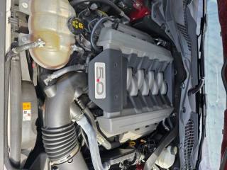 FORD Mustang usata, con Fendinebbia