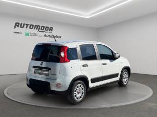 FIAT Panda usata, con Chiusura centralizzata