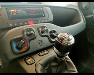 FIAT New Panda usata 10