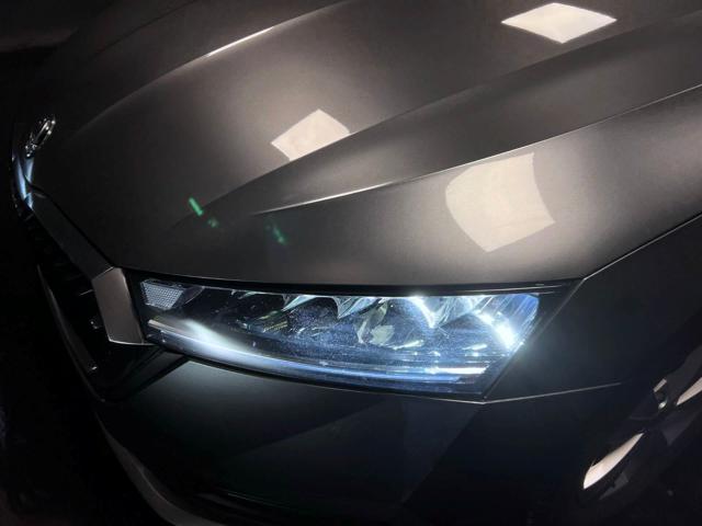 SKODA Octavia usata, con Fendinebbia