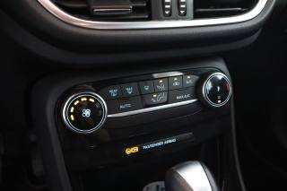 FORD Puma usata 11