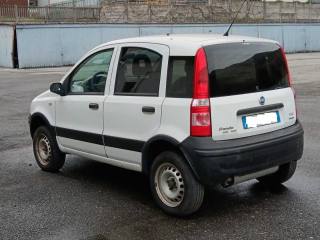 FIAT Panda usata, con Immobilizzatore elettronico