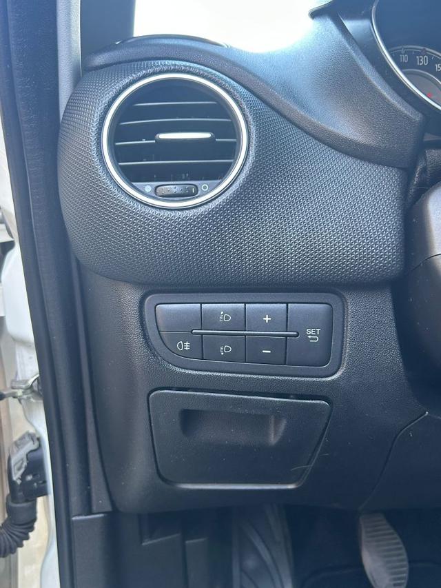 FIAT Punto usata, con Servosterzo