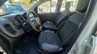 FIAT Panda usata, con Chiusura centralizzata telecomandata