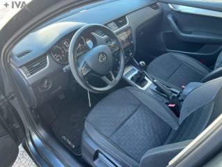 SKODA Octavia usata 12