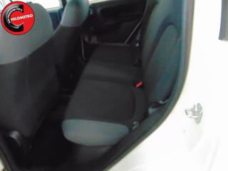 FIAT Panda usata, con Controllo trazione