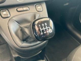 FIAT Panda usata 18