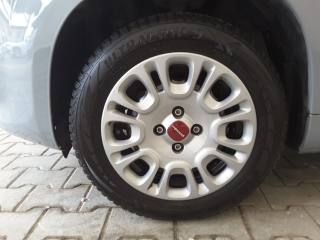 FIAT Panda usata, con Alzacristalli elettrici