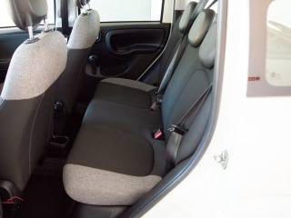 FIAT Panda usata, con Immobilizzatore elettronico