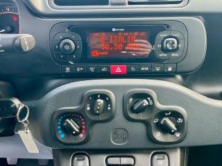 FIAT Panda usata, con Volante multifunzione