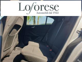 FORD Focus usata, con Cruise Control