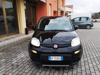 FIAT Panda usata, con Fendinebbia