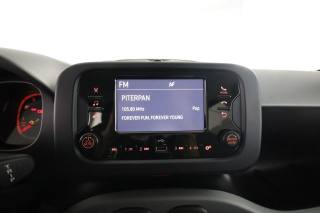 FIAT Panda usata 13
