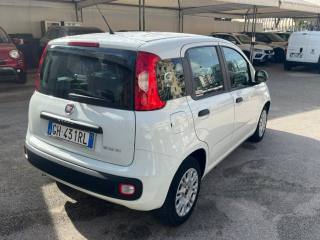 FIAT Panda usata, con Chiusura centralizzata