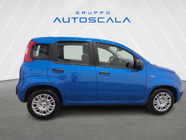 FIAT New Panda usata, con Airbag laterali