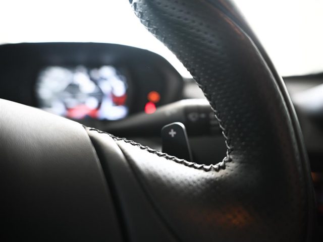 ALFA ROMEO 4C usata, con Servosterzo