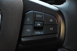 FORD Mustang Mach-E usata, con Volante multifunzione