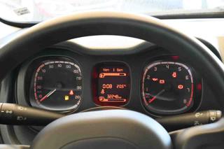 FIAT Panda usata, con Bracciolo