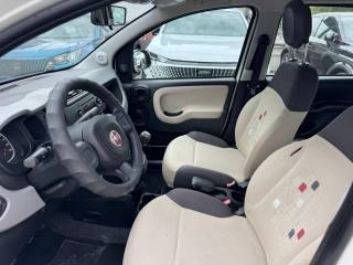 FIAT Panda usata, con Cronologia tagliandi