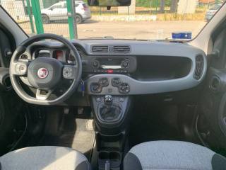 FIAT Panda usata, con Fendinebbia