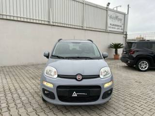 FIAT Panda usata, con Alzacristalli elettrici