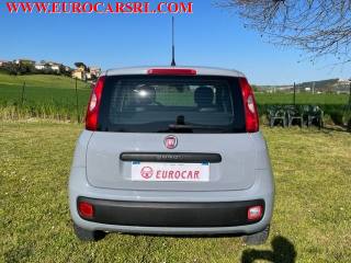 FIAT Panda usata, con Climatizzatore