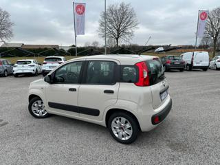 FIAT Panda usata, con Airbag Passeggero