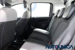 FIAT Panda usata 31
