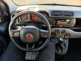 FIAT Panda usata, con Fendinebbia
