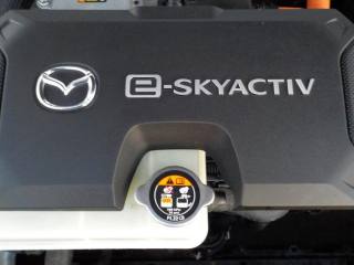MAZDA MX-30 usata, con Frenata d