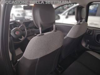 FIAT Panda usata, con Airbag Passeggero