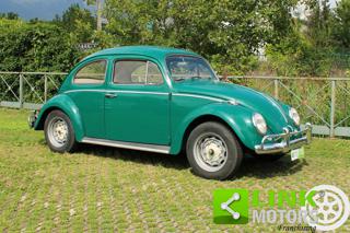 VOLKSWAGEN Maggiolino usata 22