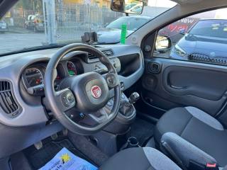 FIAT Panda usata, con Climatizzatore