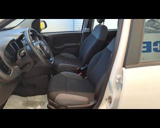 FIAT New Panda usata 20
