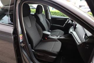 SKODA Octavia usata 141