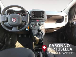FIAT Panda usata, con Servosterzo