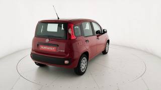 FIAT Pandina usata, con Climatizzatore