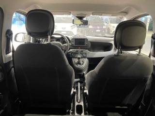 FIAT Panda Cross usata, con Airbag testa
