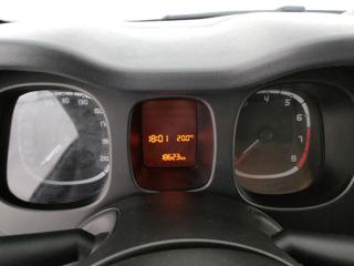 FIAT Panda Cross usata, con Vetri oscurati
