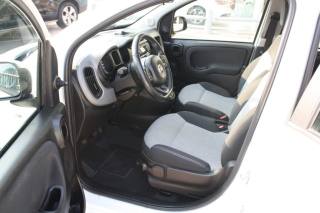 FIAT Panda usata, con Servosterzo