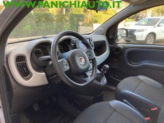 FIAT Panda Cross usata, con ESP
